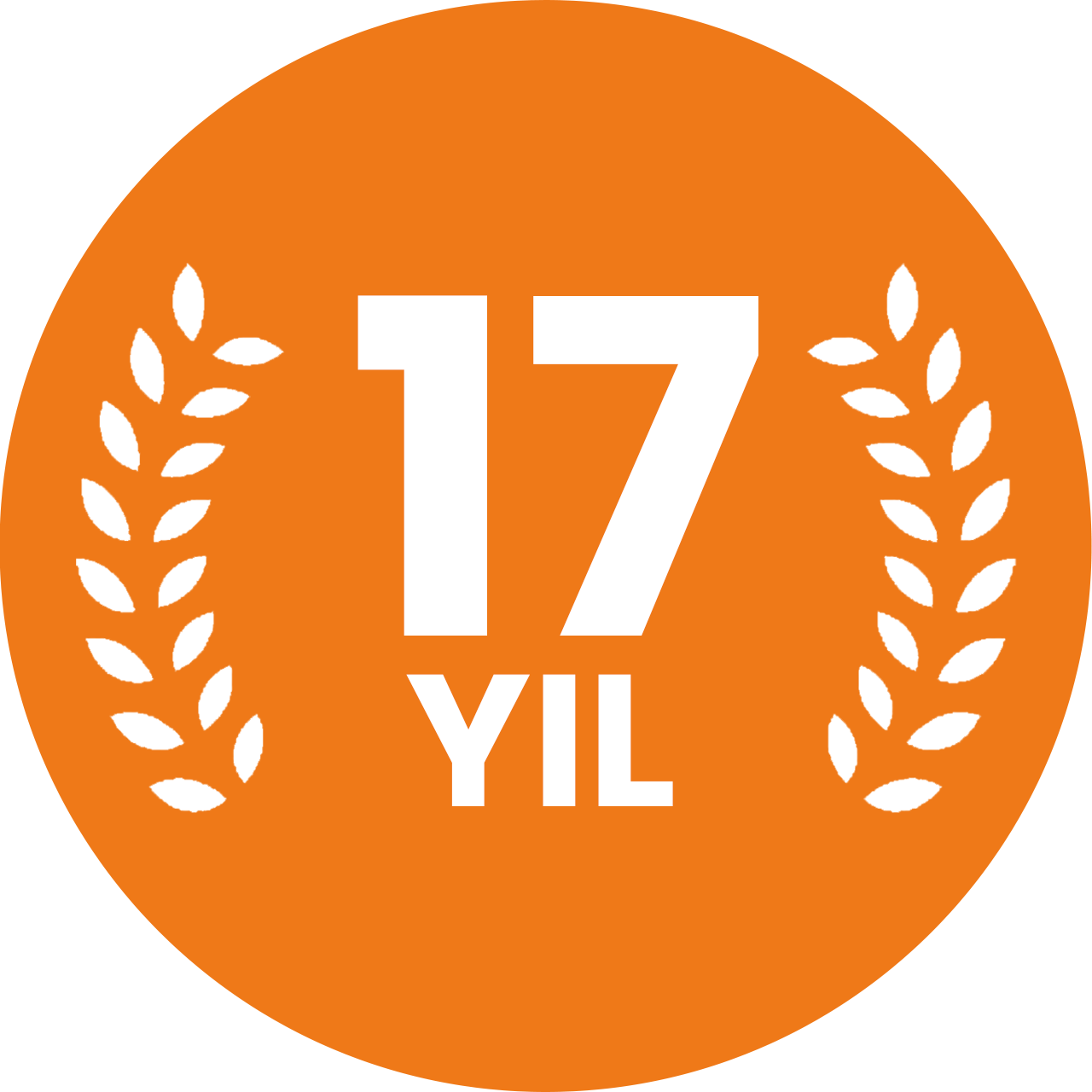 17 yillik tajriba